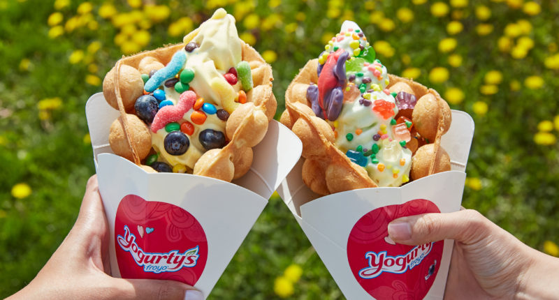 Yogurtys Froyo bubble waffle with frozen yogurt and toppings