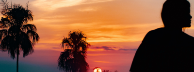 Sunset palm tree silouhette